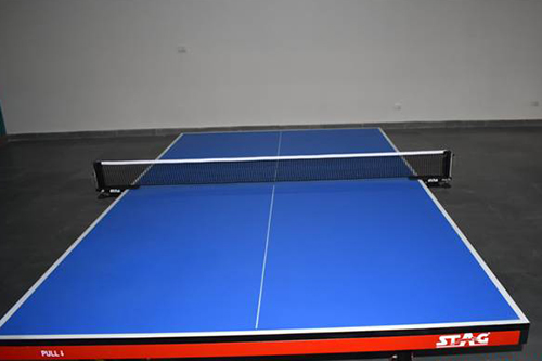  table tennis court in pacific world school greater noida west